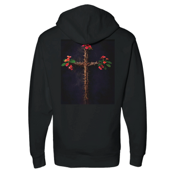 4c81d059-9ee1-4beb-aedd-26e62e2b5d6e