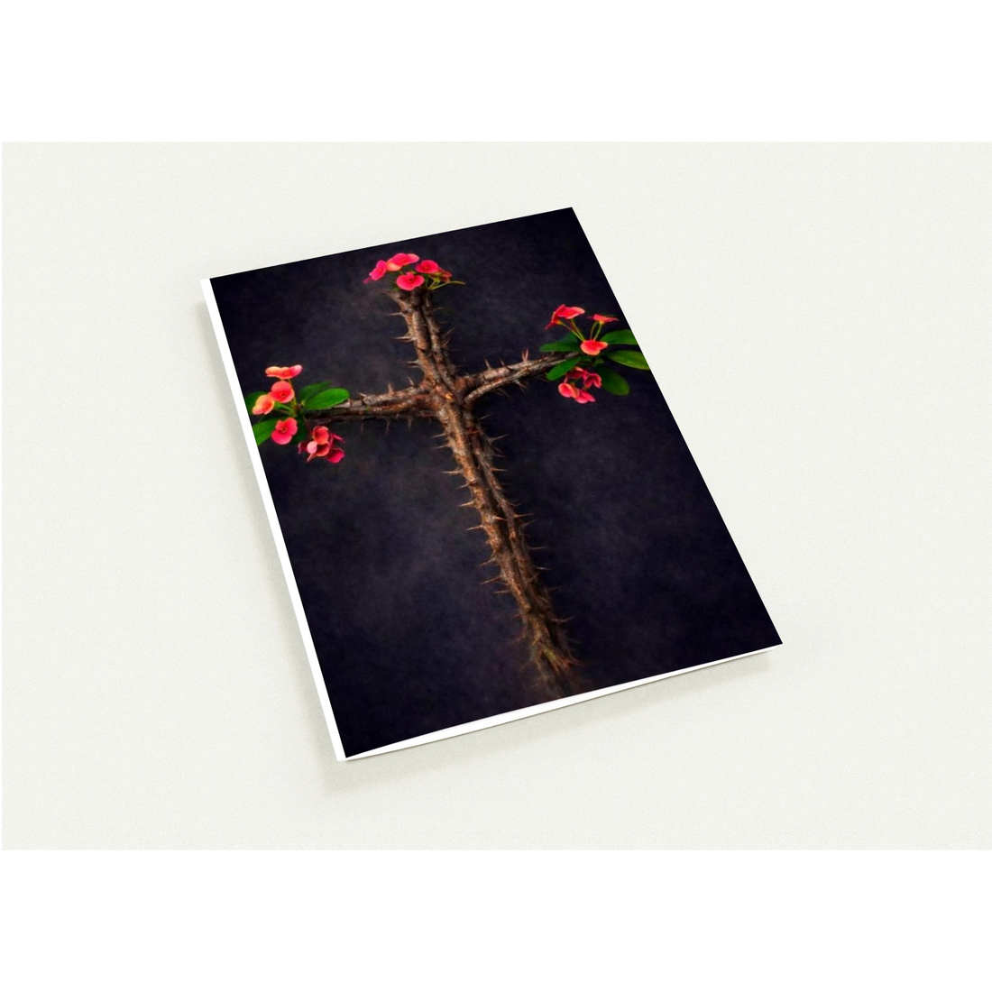 ecf9dbe0-3c7f-483d-8655-78ab6ec10162